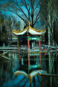 打卡西寧人民公園