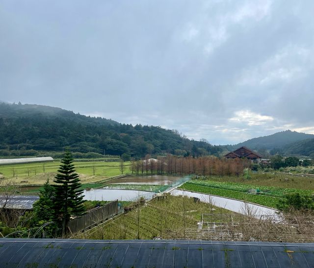 台北陽明山國家公園｜自然野趣與地質奇觀之旅