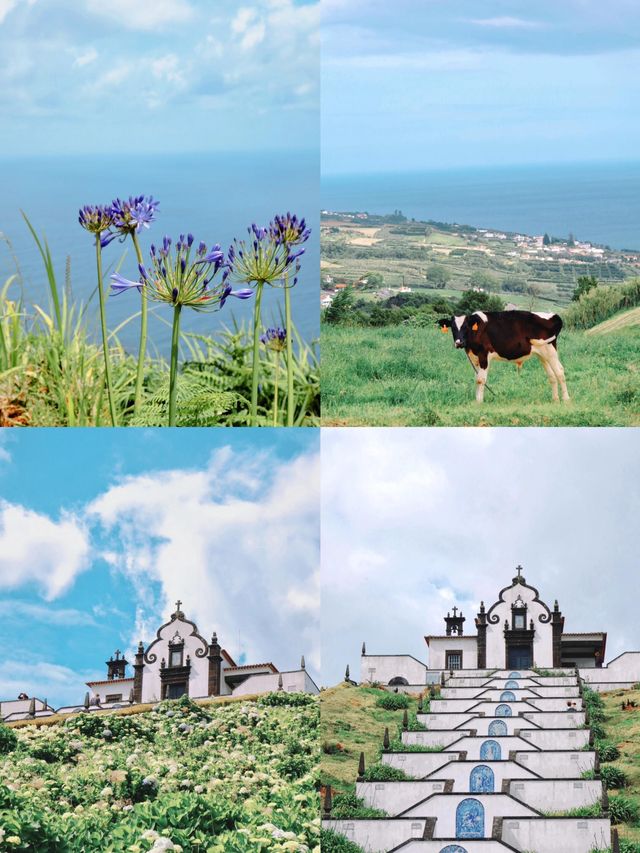 大西洋秘境：聖米格爾島的奇幻交響