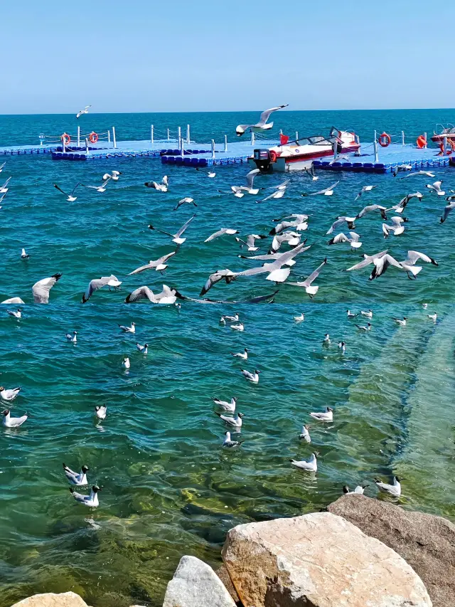 酒泉・張掖・海西8日親子旅行 超詳細攻略はこちら