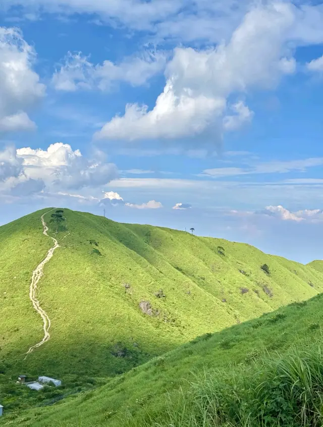 루시 여행 가이드