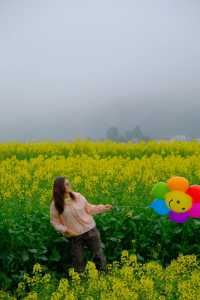 貴州萬峰林千畝油菜花