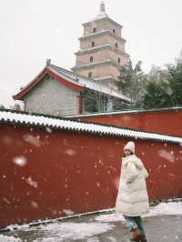 有多少人在等一場西安的大雪，雪落滿長安～