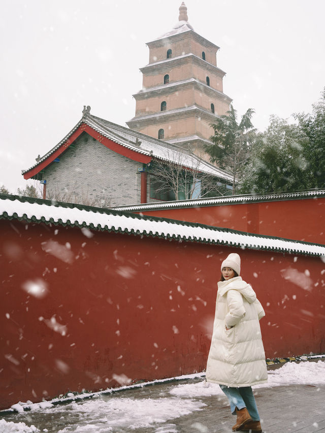 有多少人在等一場西安的大雪，雪落滿長安～