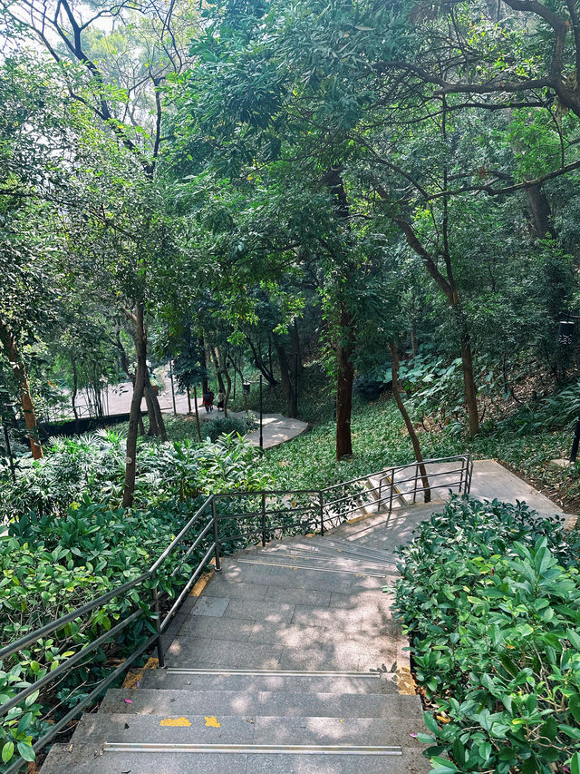 廣州春天｜雲道遠足吸氧｜越秀公園雕塑公園