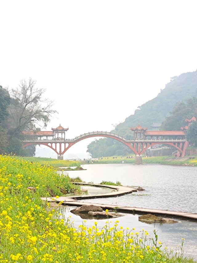 樂山濠上大橋 · 闖進春日油菜花秘境