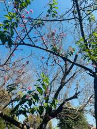 泉州2日遊 玩轉古城不踩雷