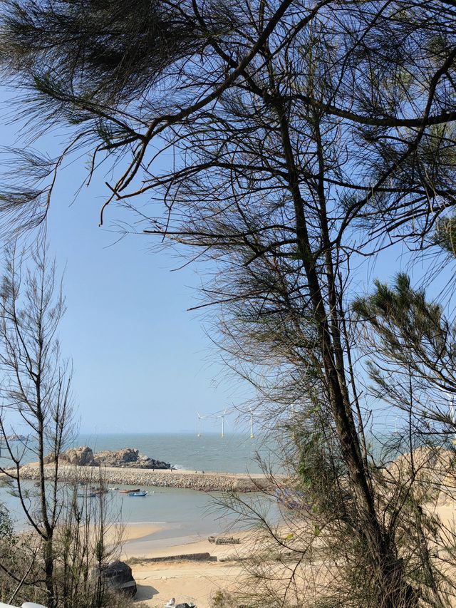 7日遍覽廈門-鼓浪嶼-泉州 朋友們都說值了不看後悔