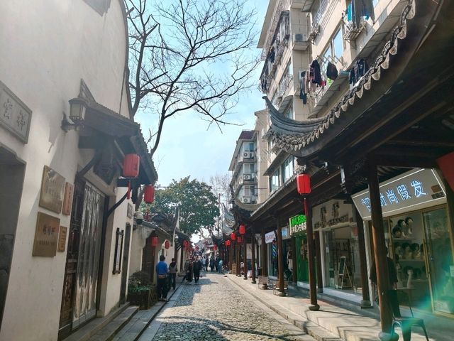 Exploring The Streets of Nanxiang Ancient Town🏮✨