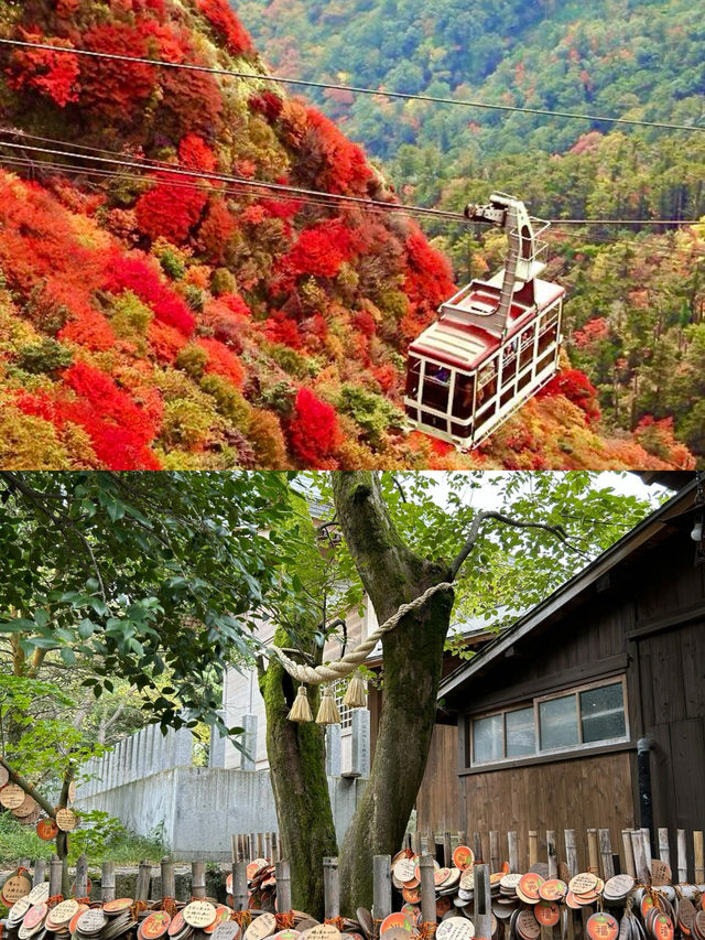 雲仙市｜藏身小城邂逅治癒系美景與溫泉