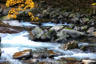 A Trip to Liping National Forest Park and a Stay at Xishang Hotel.