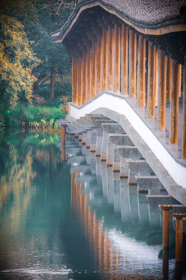 這個春天，西湖賞花一定要去西湖南線