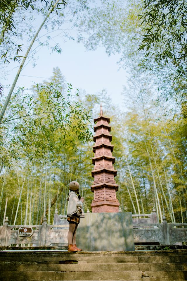 南京周邊上春山/我在大山崖壁上拍到了紫藤花海