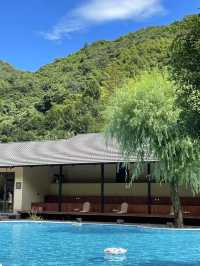 向野而生 •夏意 藏在紹興的staycation 天花板