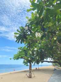 躺平度假🏖️沙努爾的私密綠洲🍀 安達仕Bali