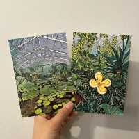 Exploring the Vastness of Kew Gardens