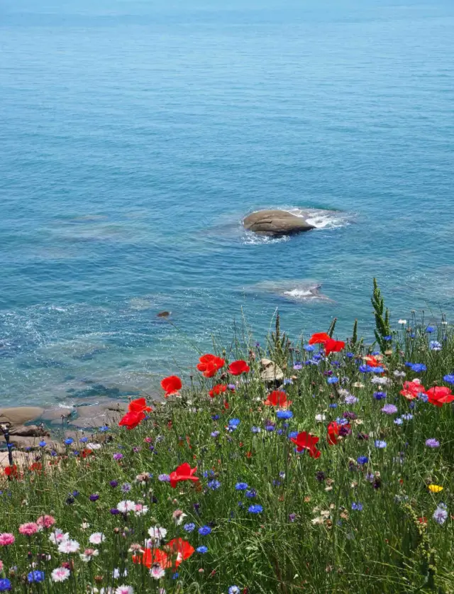 青岛3日間2泊、学生でも楽しめる激安旅行攻略