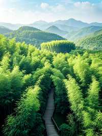 蜀南竹海藏着嘅神秘「綠密碼」，你能夠解開嗎？