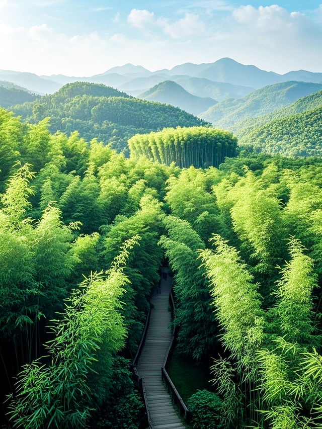蜀南竹海藏着嘅神秘「綠密碼」，你能夠解開嗎？