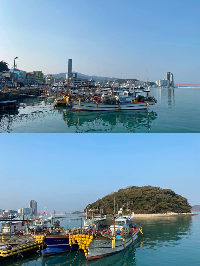 韓國莞島郡