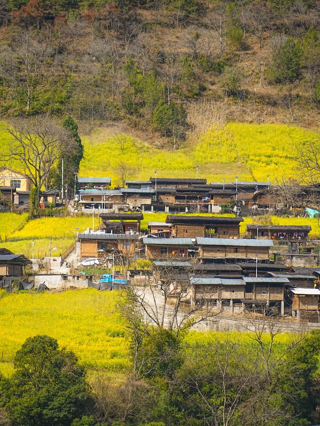 我喺怒江上春山，藏着雲南最原始嘅春天情書