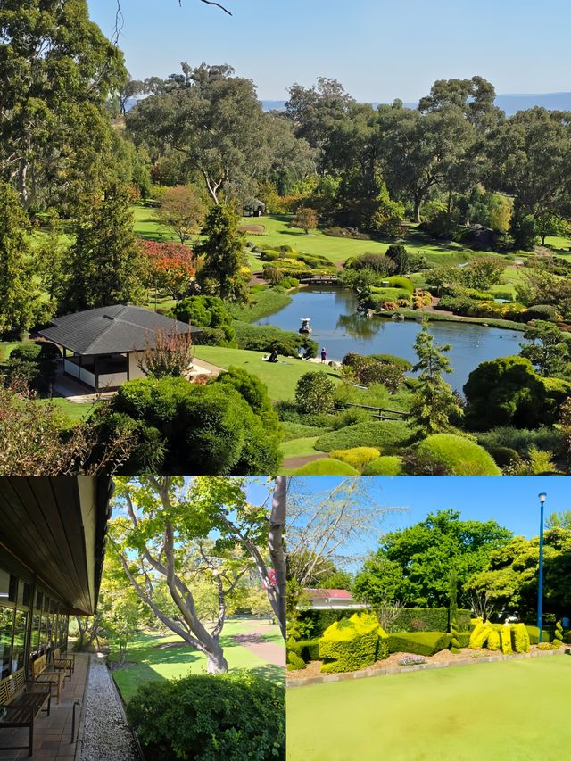 家人们誰懂啊！在澳洲邂逅超絕日式花園