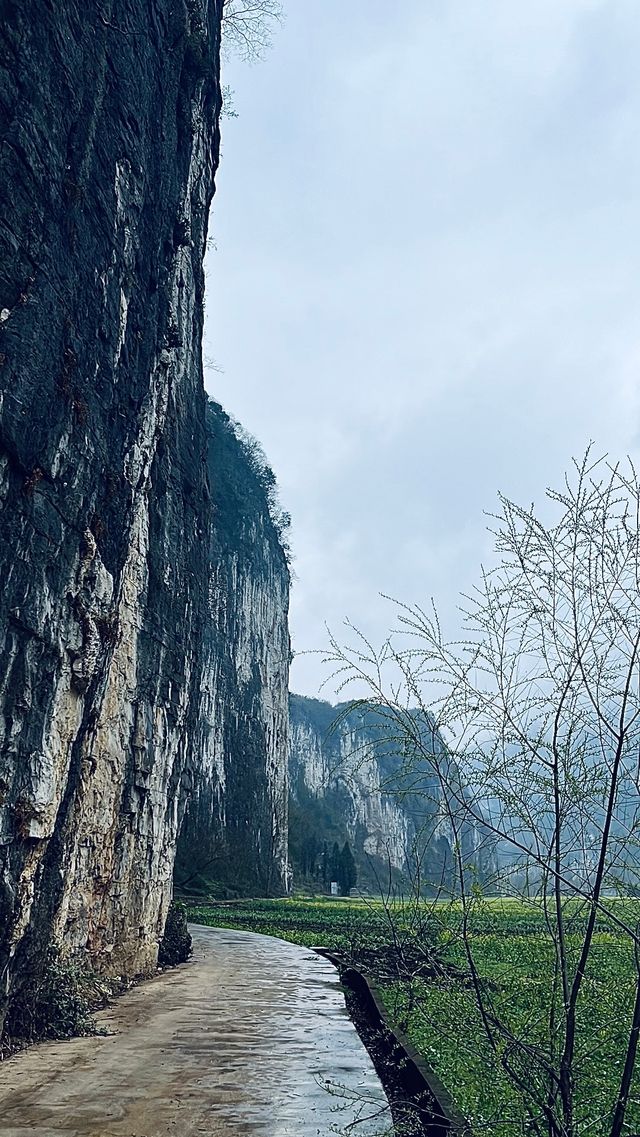 貴州織金丨象背上的古寨