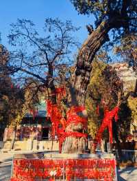 山東濟南，靈巖寺，