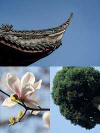 石經寺太遠，就去金華寺吧！
