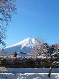 7日日本清明遊 超美季節別錯過