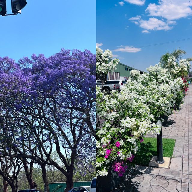 津巴布韋哈拉雷旅遊攻略