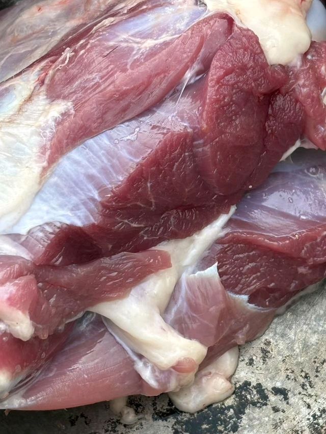 美国姐夫的中文歌曲唱的太丝滑了