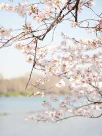 趁著花香微風，踏上「野」的旅程。