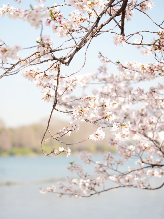 趁著花香微風，踏上「野」的旅程。