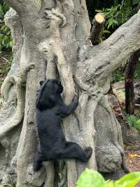 Discover Asia's First Rainforest Adventure Zoo in Singapore!