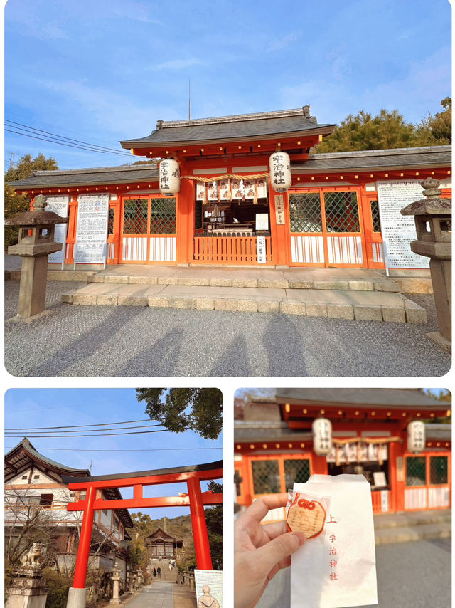 ⛩️宇治神社保姆級攻略｜闖入千年鶯歌的橘色秘境