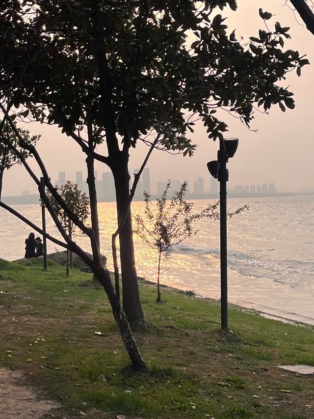 蘇州獨墅湖一日遊攻略 | 櫻花與日落交織的春日浪漫