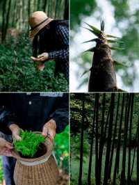 隱入皖南山水｜住進會呼吸嘅春天裡