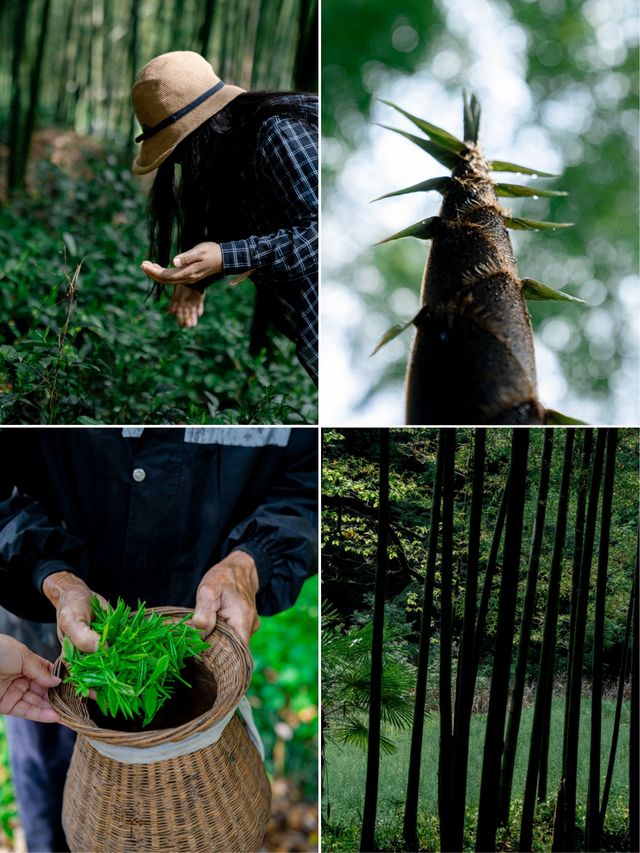 隱入皖南山水｜住進會呼吸嘅春天裡