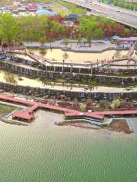 西流湖公園：梅香四溢嘅冬日詩意