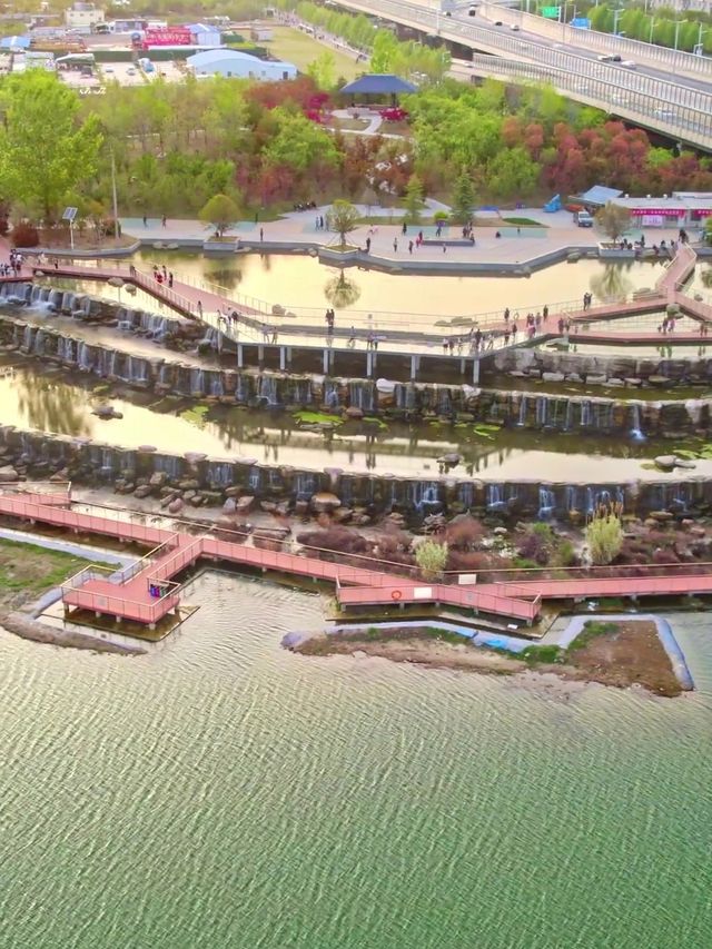 西流湖公園：梅香四溢嘅冬日詩意