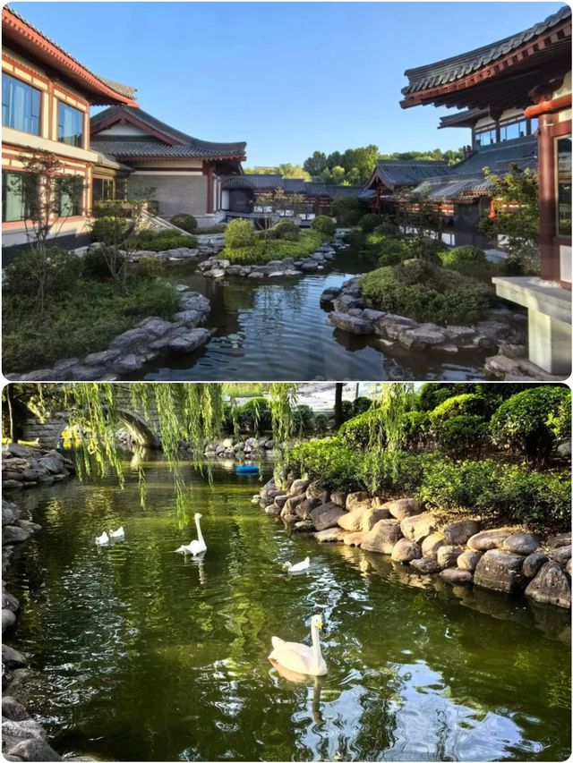 穿越千年的浪漫！入住大唐芙蓉園內的酒店