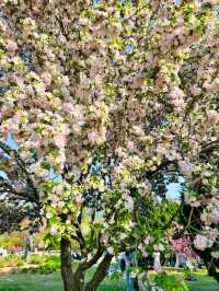 青島也有自己的秘密花園，你知道在哪裡嗎？