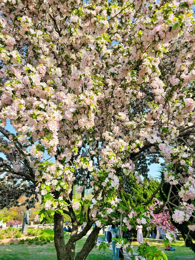 青島也有自己的秘密花園，你知道在哪裡嗎？