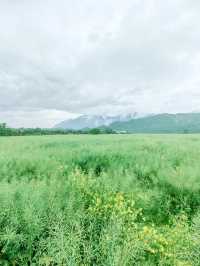 樸宿·所在（新安江），隱於鄉野，清新自然