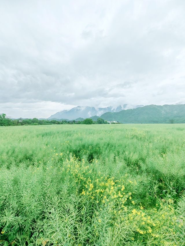 樸宿·所在（新安江），隱於鄉野，清新自然