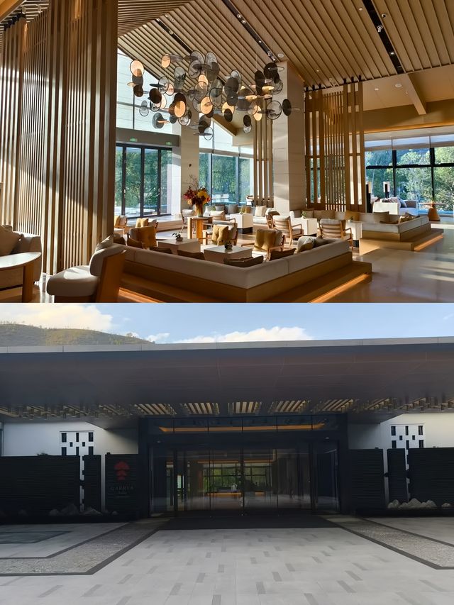 神仙居爬山淡竹玩水攻略，住進森林野奢酒店