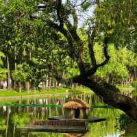 綠野仙蹤｜越秀公園💚藏於廣州鬧市的絕美抹茶小森林🌳