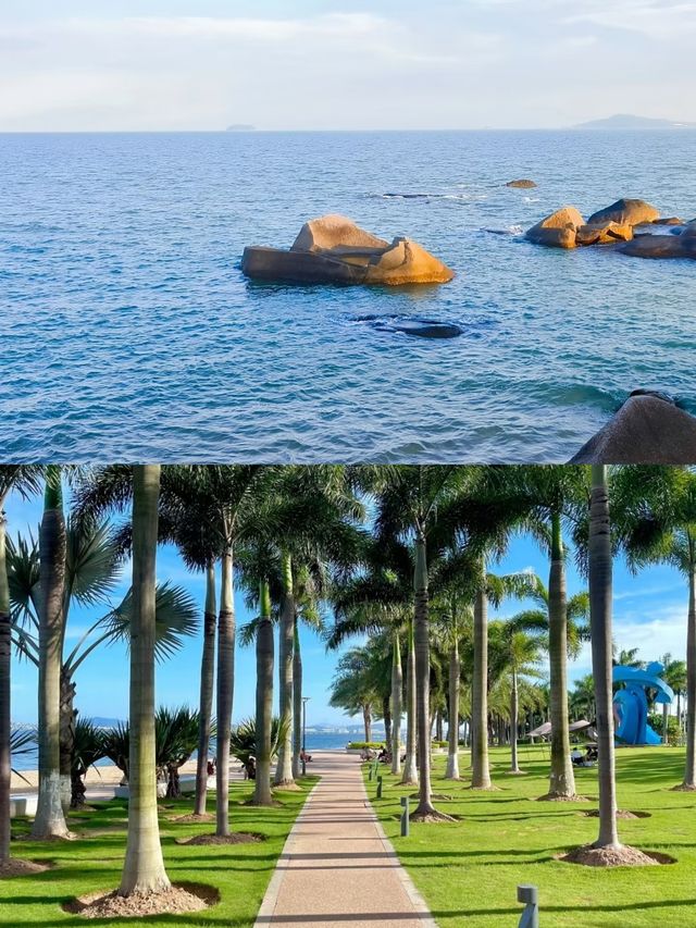 廈門環島路，一場海邊嘅浪漫之旅