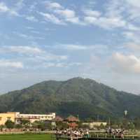 中山曹邊村｜狀元路，10分鐘竹林秘境🌳治愈解壓天花板